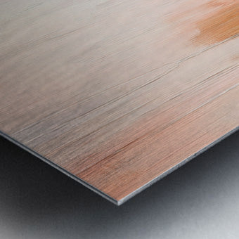 2308114 :: Brushed Metal Print