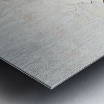 2308119 :: Brushed Metal Print