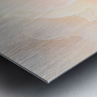 2308130 :: Brushed Metal Print