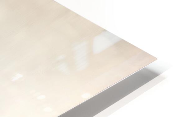 2308031 :: HD Sublimation Metal Print