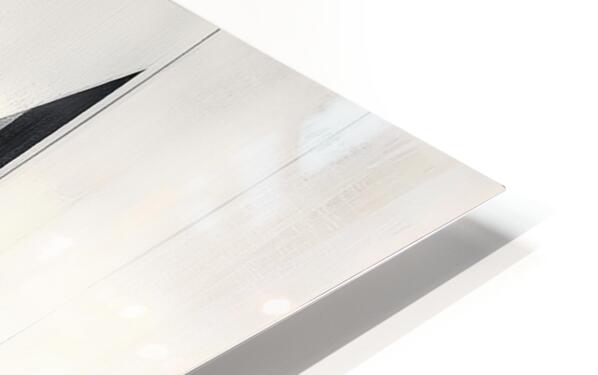 2308032 :: HD Sublimation Metal Print