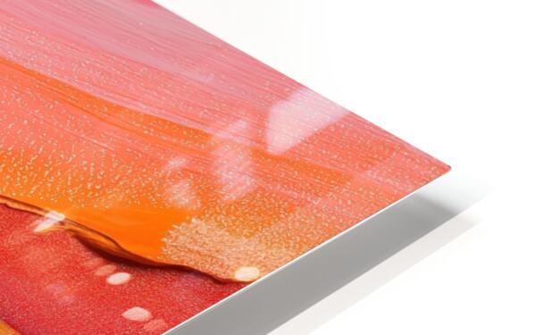 2308113 :: HD Sublimation Metal Print