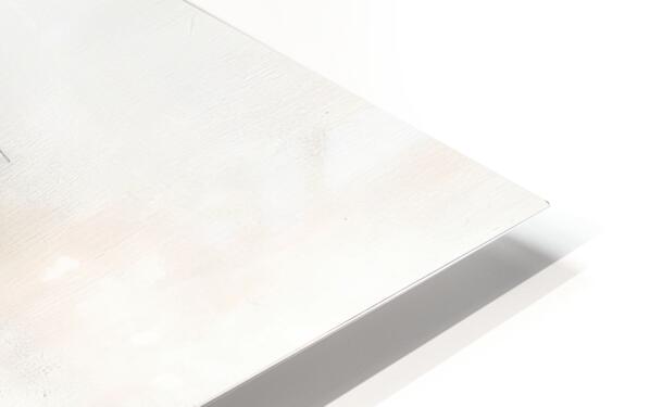 2308115 :: HD Sublimation Metal Print