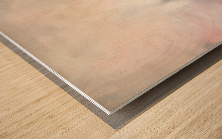 2304957 :: Wood Print