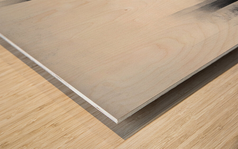 2308027 :: Wood Print