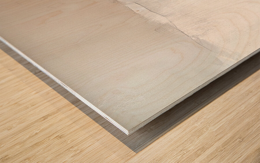 2308118 :: Wood Print