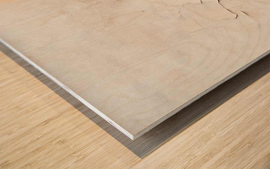 2308119 :: Wood Print